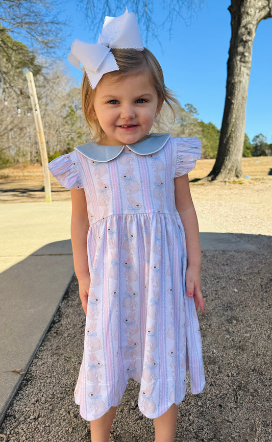 Bailey's Bunnies Dress